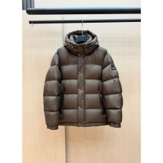 Zegna Down Jackets